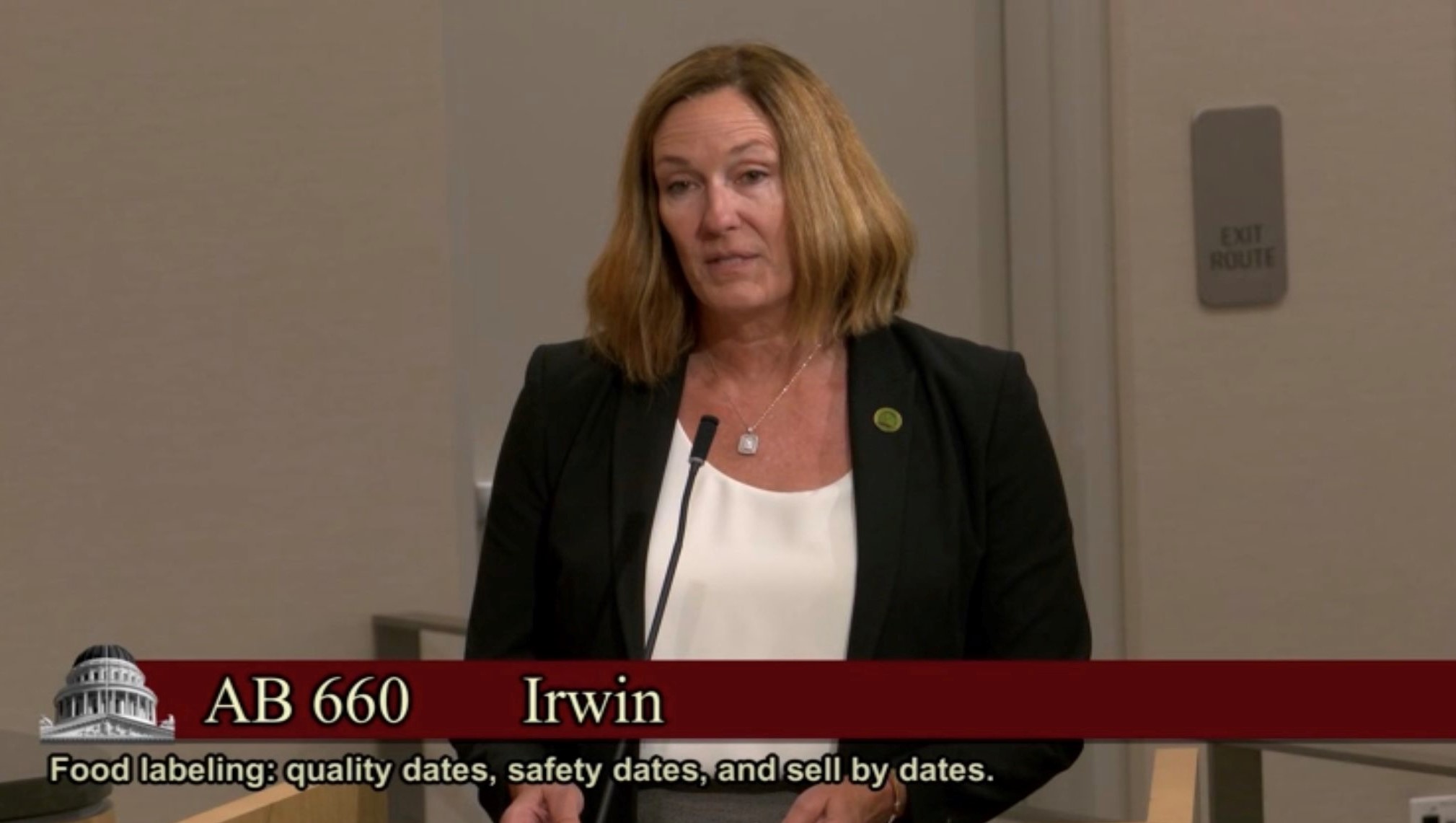 Assemblymember Irwin testifying before Senate Committee