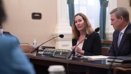 Asm. Irwin addressing the committee