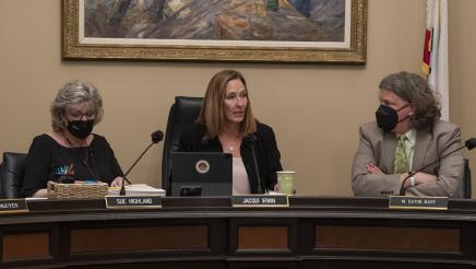Asm. Irwin speaking as committee members listen on