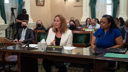 Asm. Irwin providing testimony