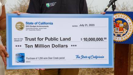 Close-up of large ceremonial check