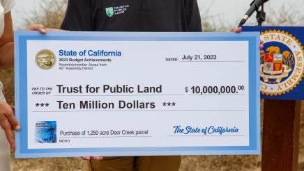 Close-up of large ceremonial check