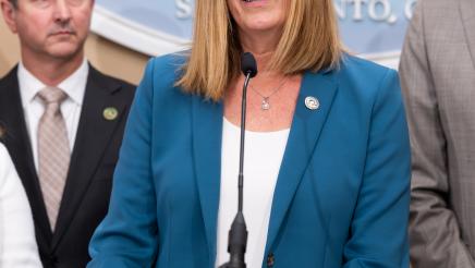 Asm. Irwin at podium, speaking
