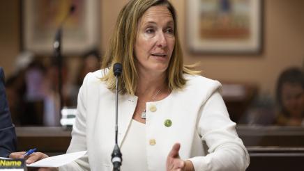 Asm. Irwin gestures with one hand while providing testimony