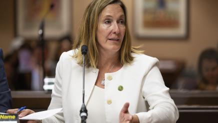 Asm. Irwin gestures with one hand while providing testimony