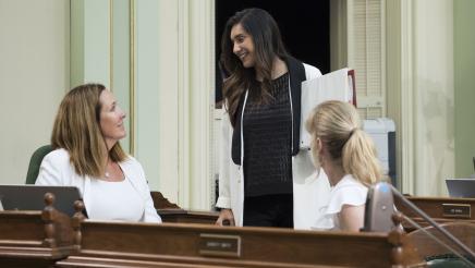 Asm. Irwin speaking with other members